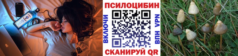 Псилоцибиновые грибы Magic Shrooms  Бердск 
