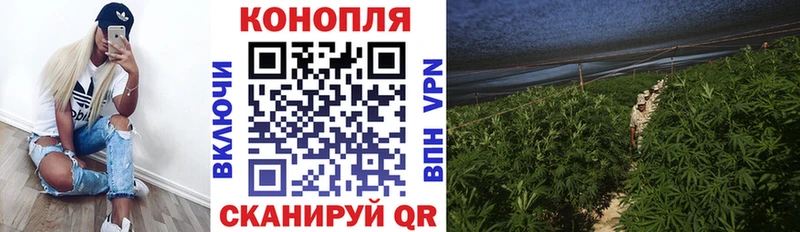 Каннабис SATIVA & INDICA  гидра   Бердск  купить закладку 